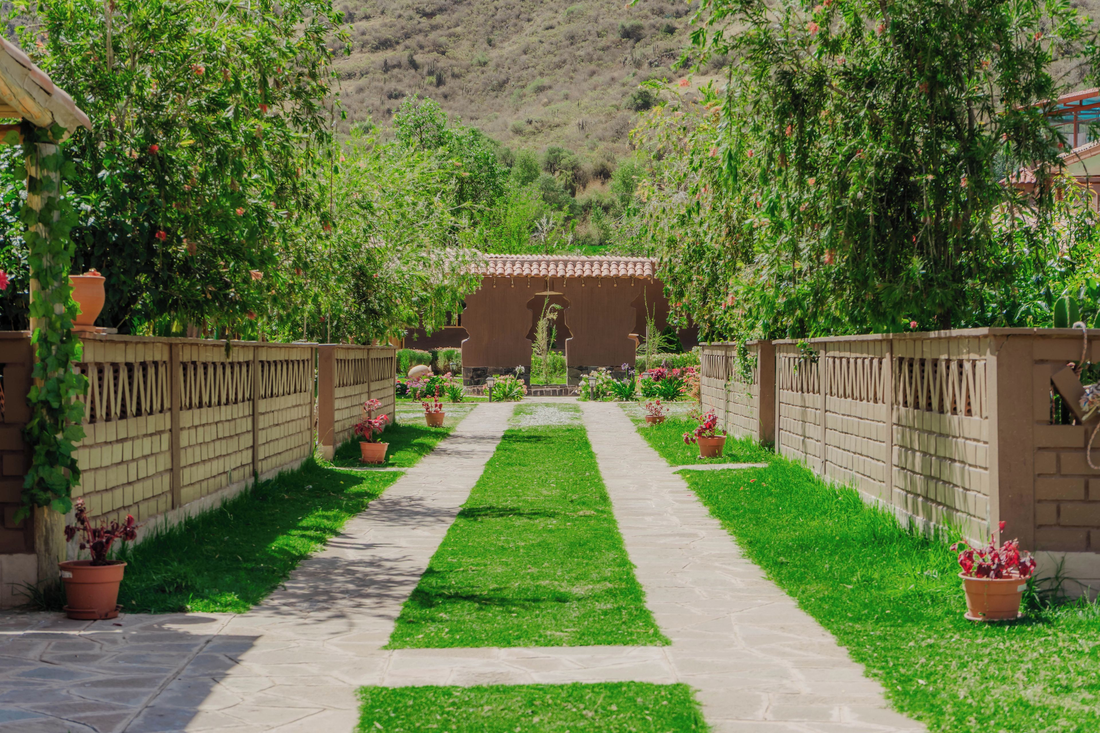 Un sendero conduce a un arco tradicional, bordeado por abundante follaje y plantas en macetas.