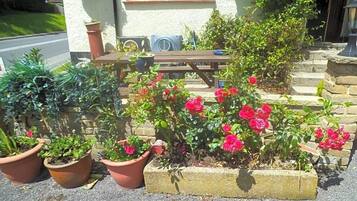 Un jardín con plantas en macetas y un banco de madera.
