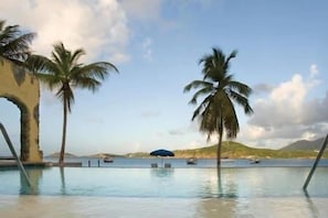 A pool area with palm trees and a clear sky.