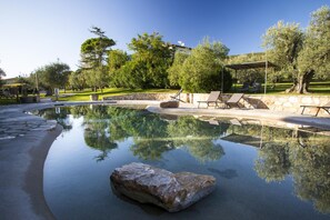 A swimming pool with a rock in the foreground, surrounded by lounge chairs and a stone wall. - Venturina - One Bedroom (Campiglia Marittima)