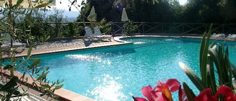 Una piscina con sillones de descanso y sombrillas, rodeada de vegetación.