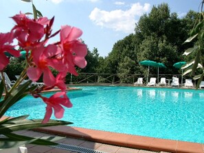 A swimming pool with clear blue water, surrounded by lounge chairs and umbrellas, with trees in the background. - Poggitazzi - Two Bedroom (Terranuova Bracciolini)