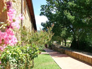 A courtyard with a paved walkway, a stone wall, and lush greenery including flowering plants. - Poggitazzi - Two Bedroom (Terranuova Bracciolini)