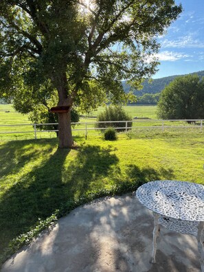 A tree with a bench in a grassy area, a fence, and a view of a field.