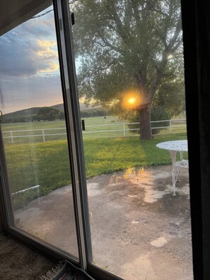 A view from inside a room through a glass door, looking out to a grassy area with a tree and a white table.