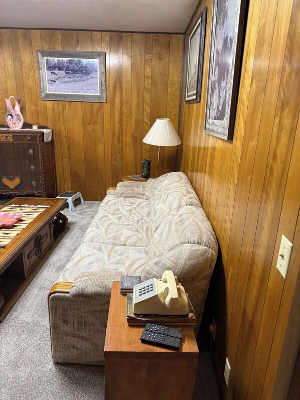 A room with wooden panel walls, a sofa, a small table with a lamp, a dresser, and a framed picture on the wall.