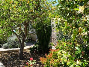 Un jardín con diversas plantas y un árbol con frutos amarillos.