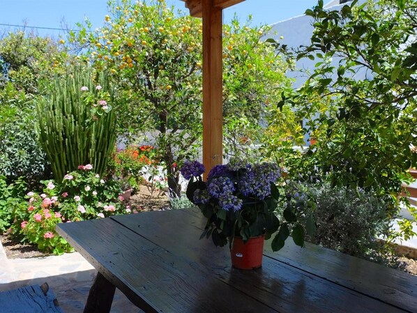 Una mesa de madera con una planta en maceta en el centro, rodeada de diversas plantas de jardín y árboles.