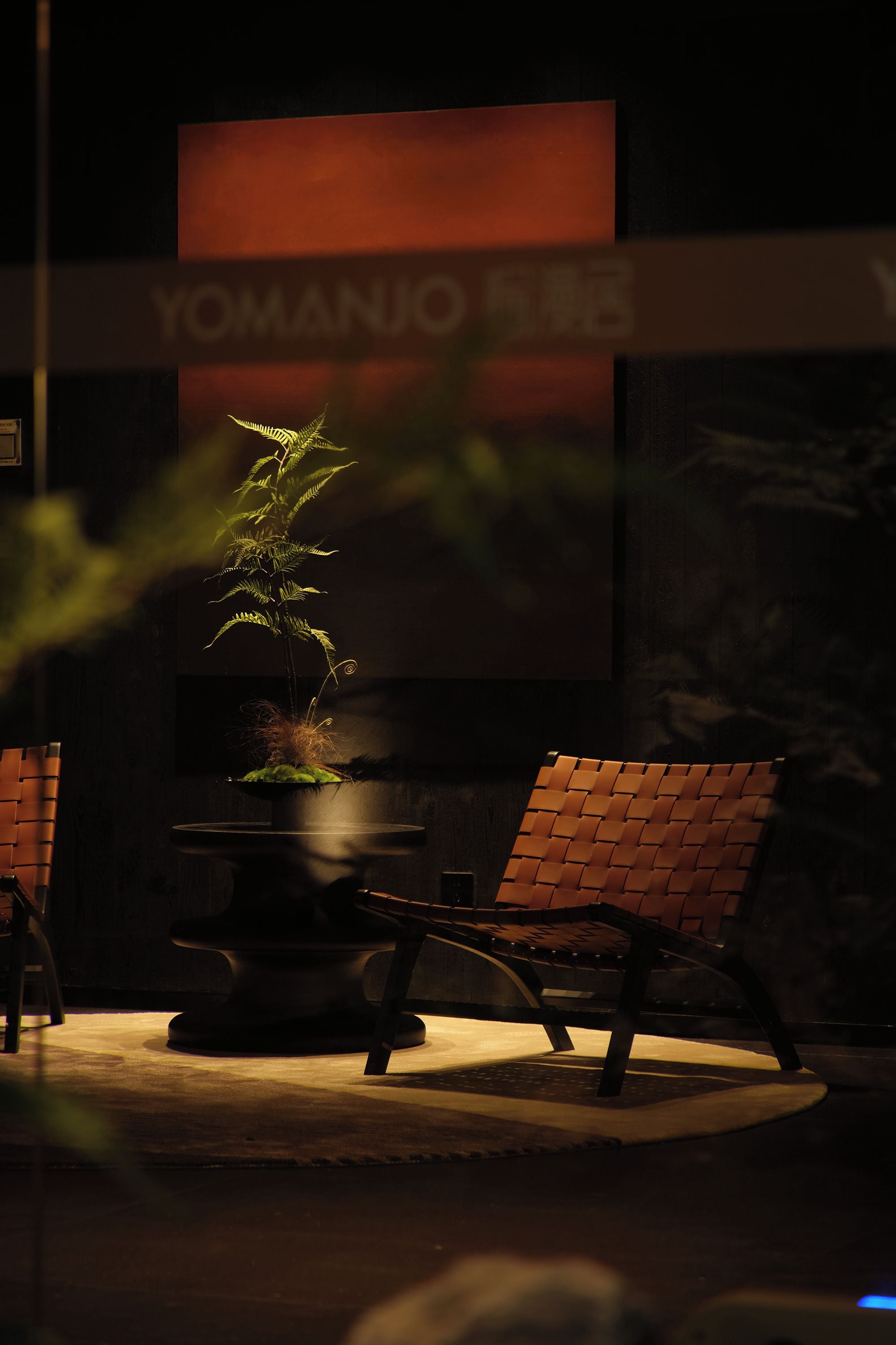 A dark room with a single chair and a table with a plant.
