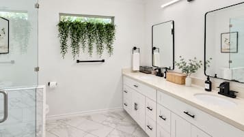 A modern bathroom with a glass shower enclosure, a large mirror, and a window with hanging plants.