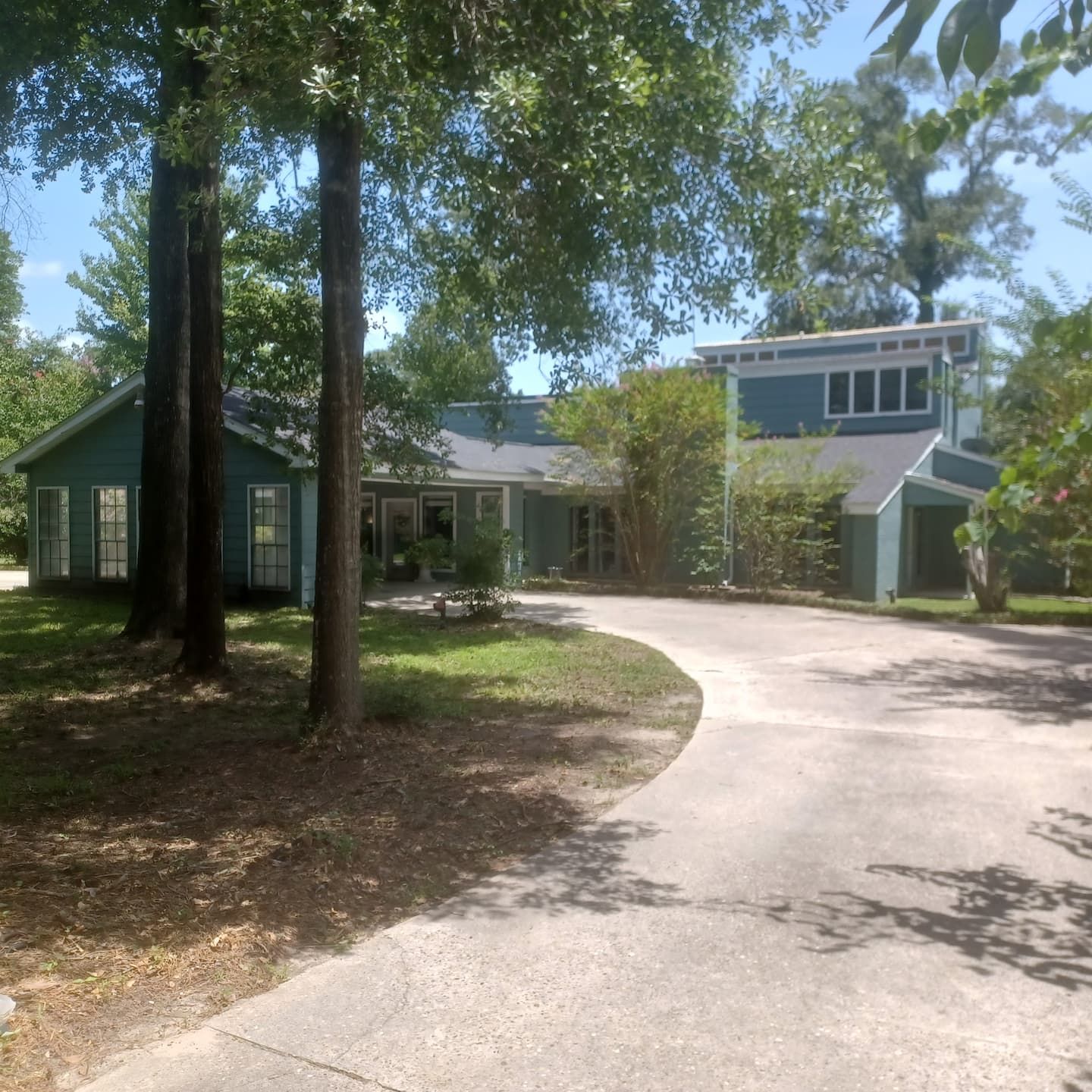 A residential property with a driveway leading to a house, surrounded by trees and a well-maintained lawn.
