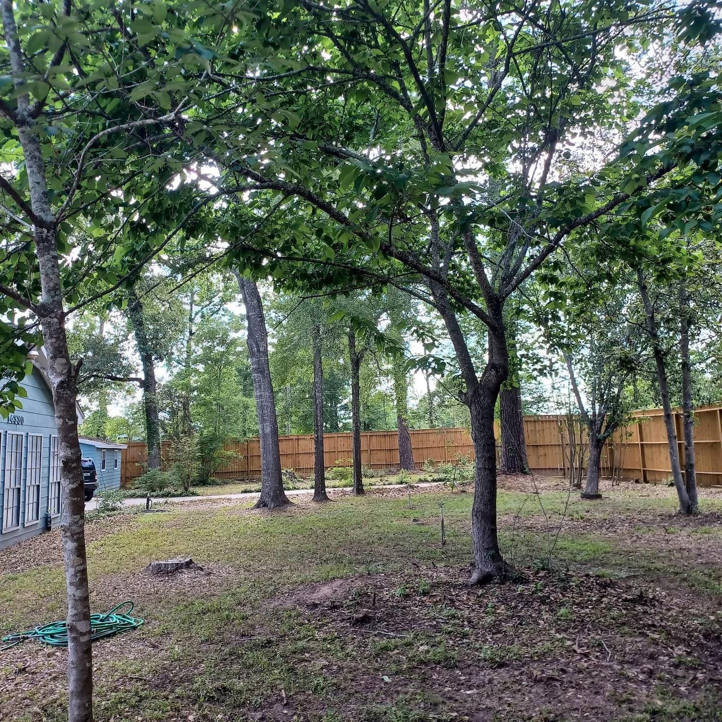 Ein Garten mit mehreren Bäumen, einem Holzzaun und einem Haus mit Garage.