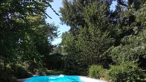 Ein Pool mit gefliestem Sonnendeck, umgeben von Bäumen und einem Gebäude im Hintergrund.