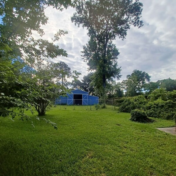 A grassy area with a blue structure, possibly a shed or storage, surrounded by trees and greenery.