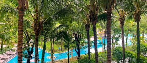 A pool surrounded by palm trees and greenery.