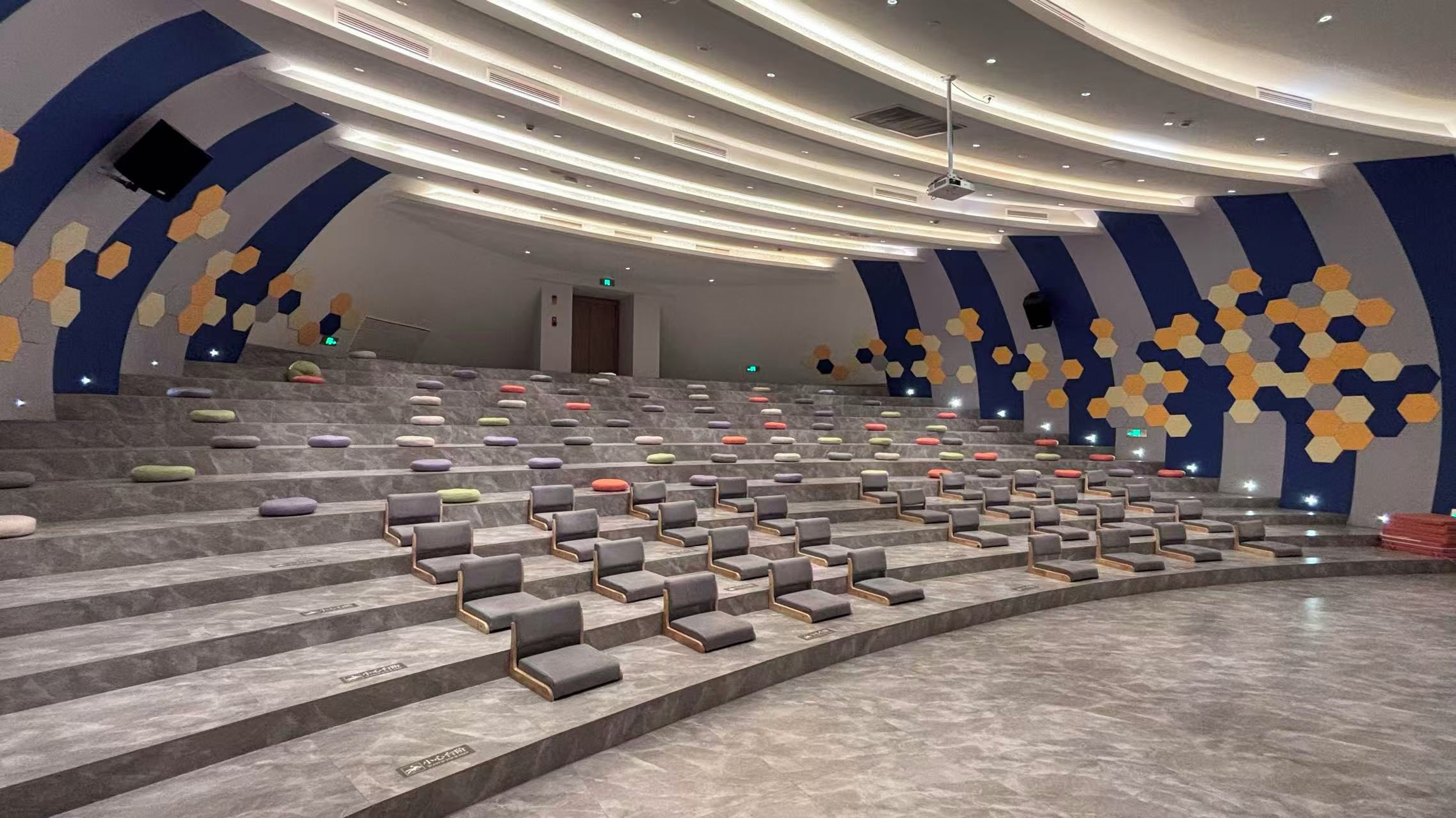A modern auditorium with tiered seating, a curved ceiling, and a patterned wall design.
