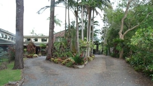 A gravel driveway leading to a building surrounded by tropical vegetation. - Emerald Tropical Palms B&B (Coffs Harbour)