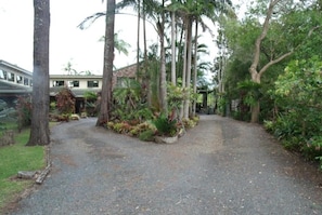 A gravel driveway leading to a building surrounded by tropical vegetation. - Emerald Tropical Palms B&B (Coffs Harbour)