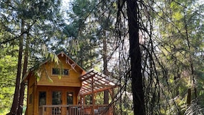 A wooden cabin with a porch and a covered deck, surrounded by dense forest. - Forest Hideout - Peaceful Cabin Getaway in the woods (Duncan)