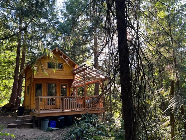A wooden cabin with a porch and a covered deck, surrounded by dense forest.