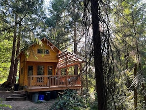 A wooden cabin with a porch and a covered deck, surrounded by dense forest.