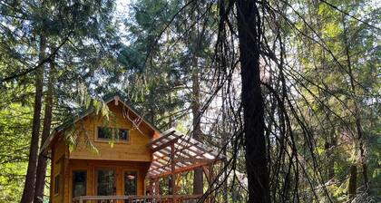 Forest Hideout - Peaceful Cabin Getaway in the woods