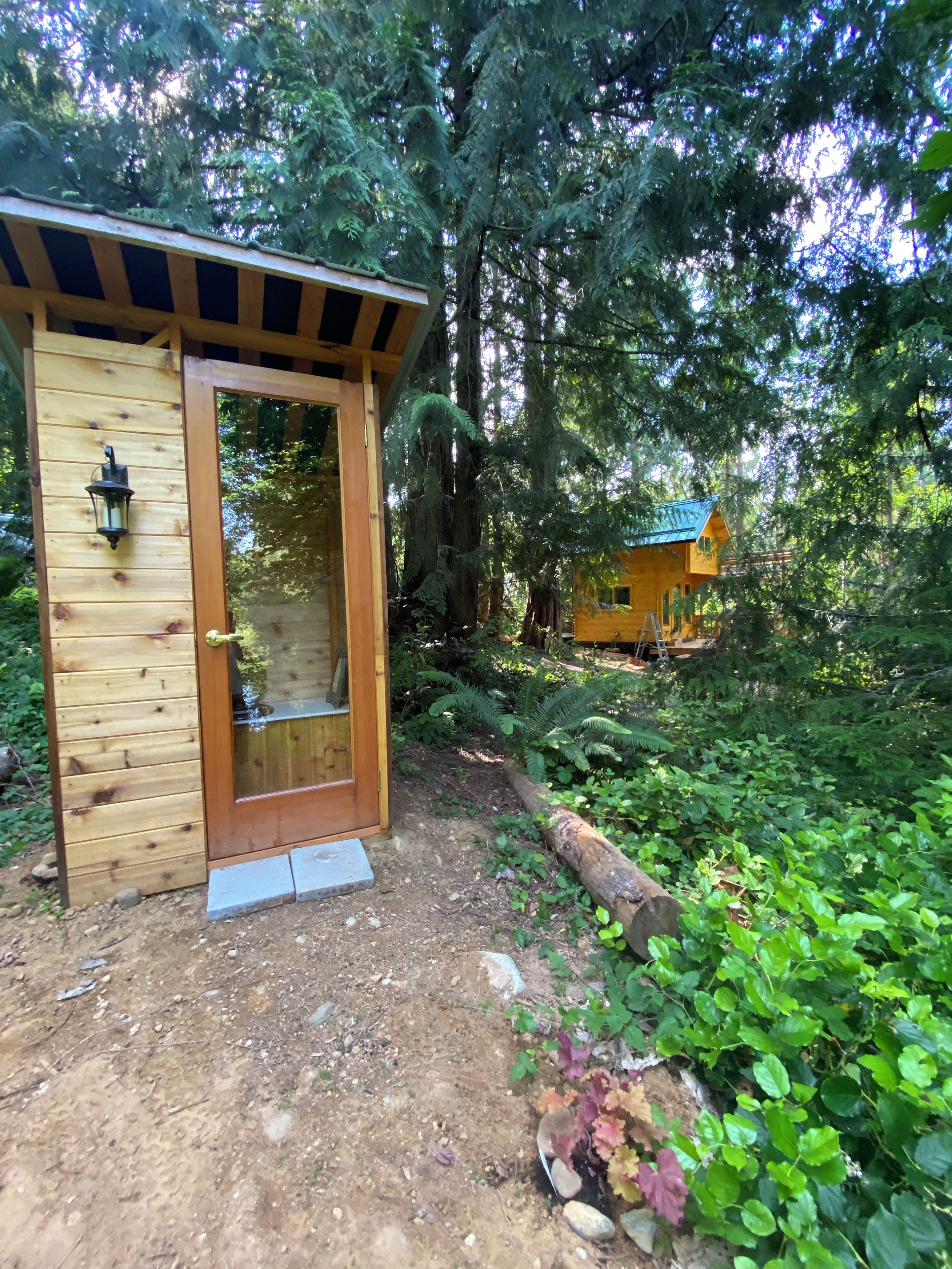 A wooden cabin with a glass door, surrounded by dense forest.