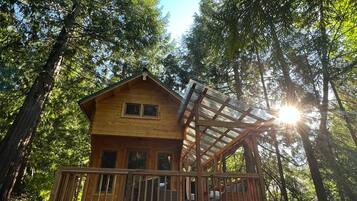 Une cabane en bois dotée d’une terrasse, entourée de grands arbres.