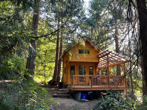 A wooden cabin with a porch, surrounded by dense forest.