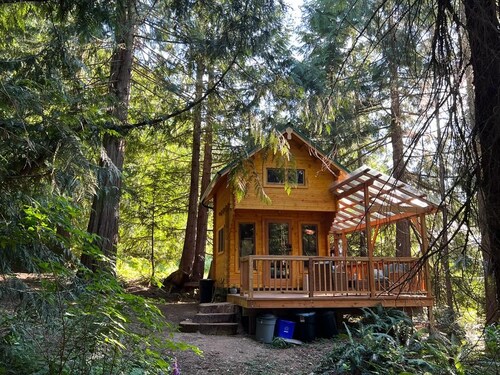 Forest Hideout - Peaceful Cabin Getaway in the woods