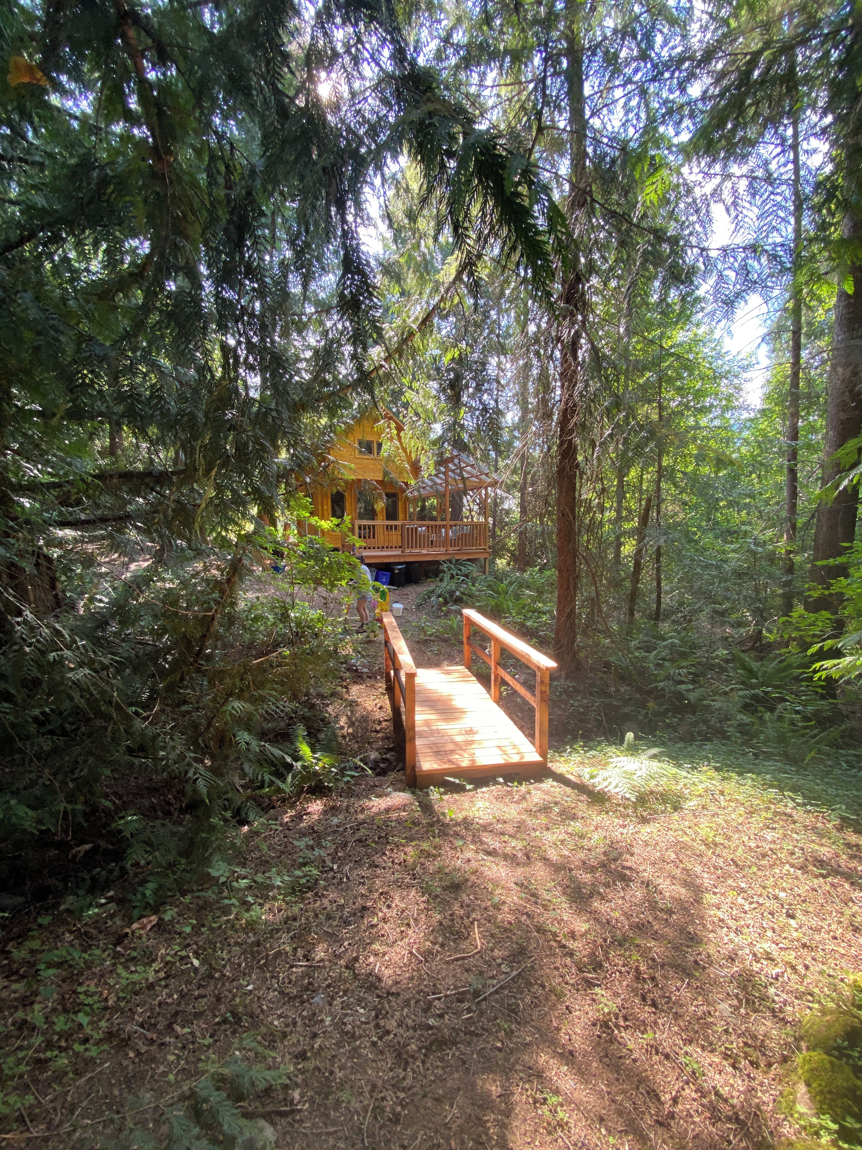 A wooden deck leading to a cabin surrounded by dense forest.