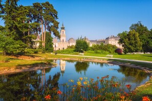 A large building with a prominent tower, surrounded by trees and a calm water body with flowers in the foreground.