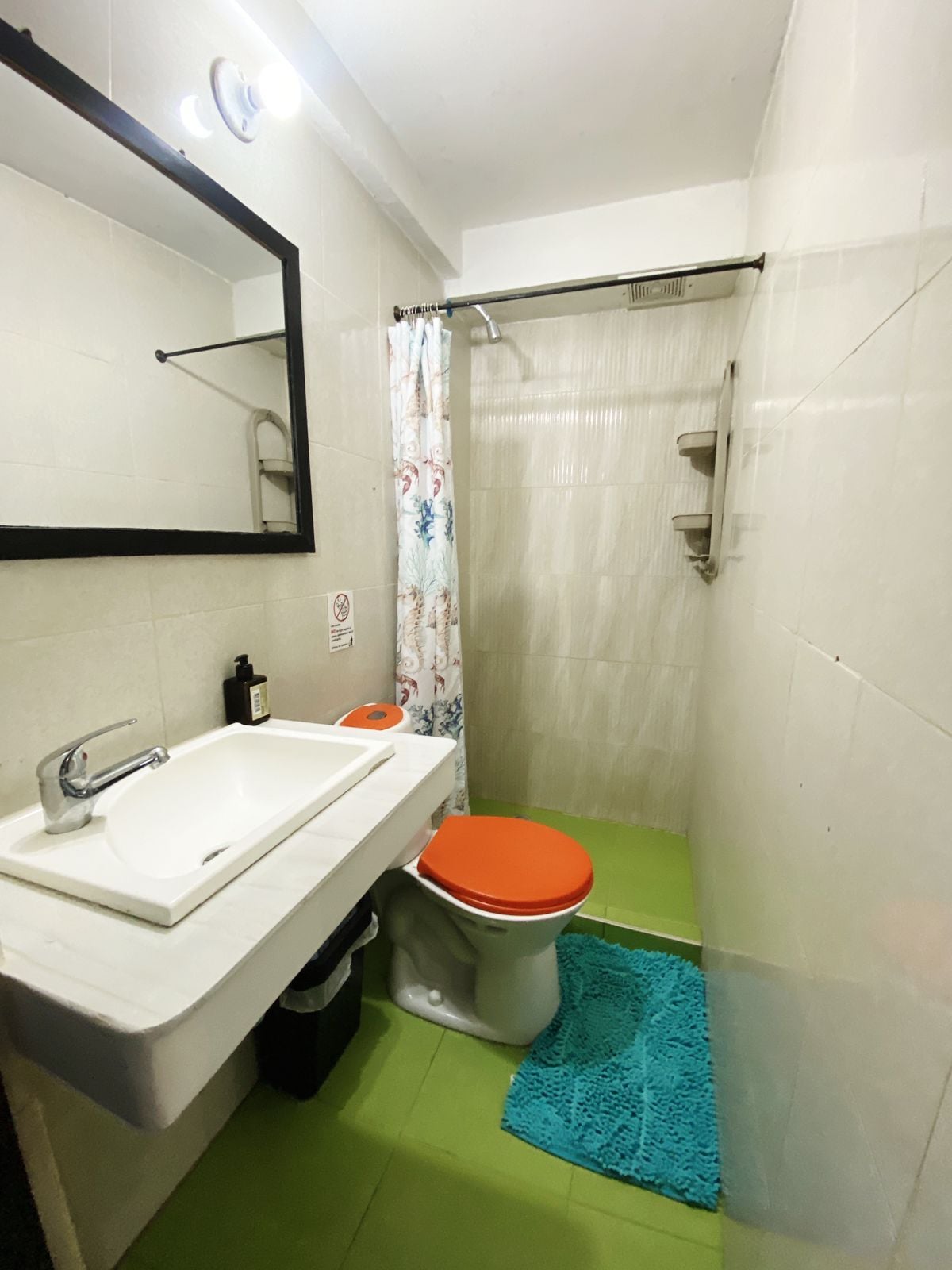 Shower, towels, soap, toilet paper