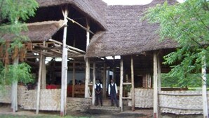 Una estructura tradicional con tejado de paja, un porche cubierto y una escalera de madera que conduce al interior.