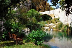 Eine Stebrücke über einem ruhigen Fluss, umgeben von üppiger Vegetation und einer Holzbank.