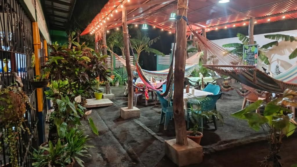 Un patio al aire libre con mesas, sillas, una hamaca y plantas en macetas.