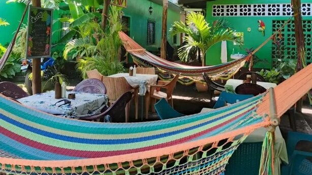 A hammock under a red roof, surrounded by greenery and a green wall. - Hostel Coco's  (Moyogalpa)