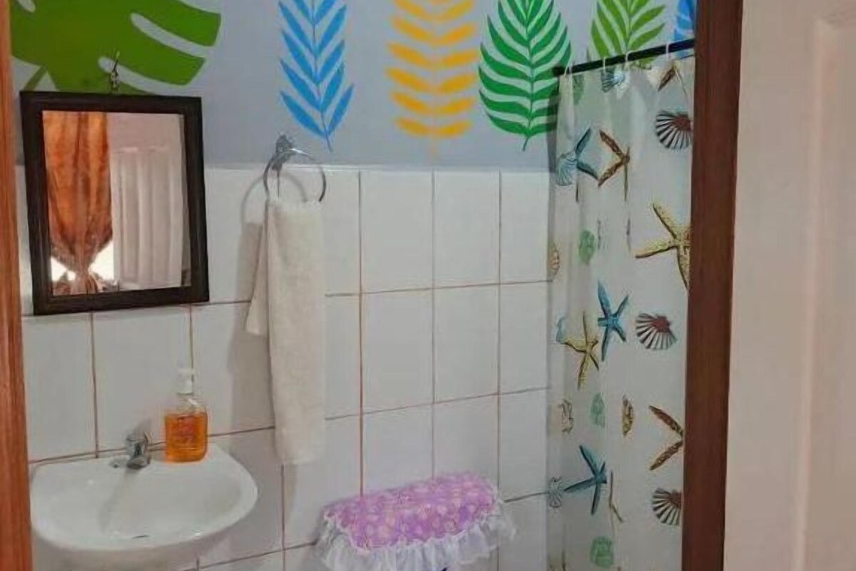 Habitación doble clásica | Baño | Regadera, toallas, shampoo 
