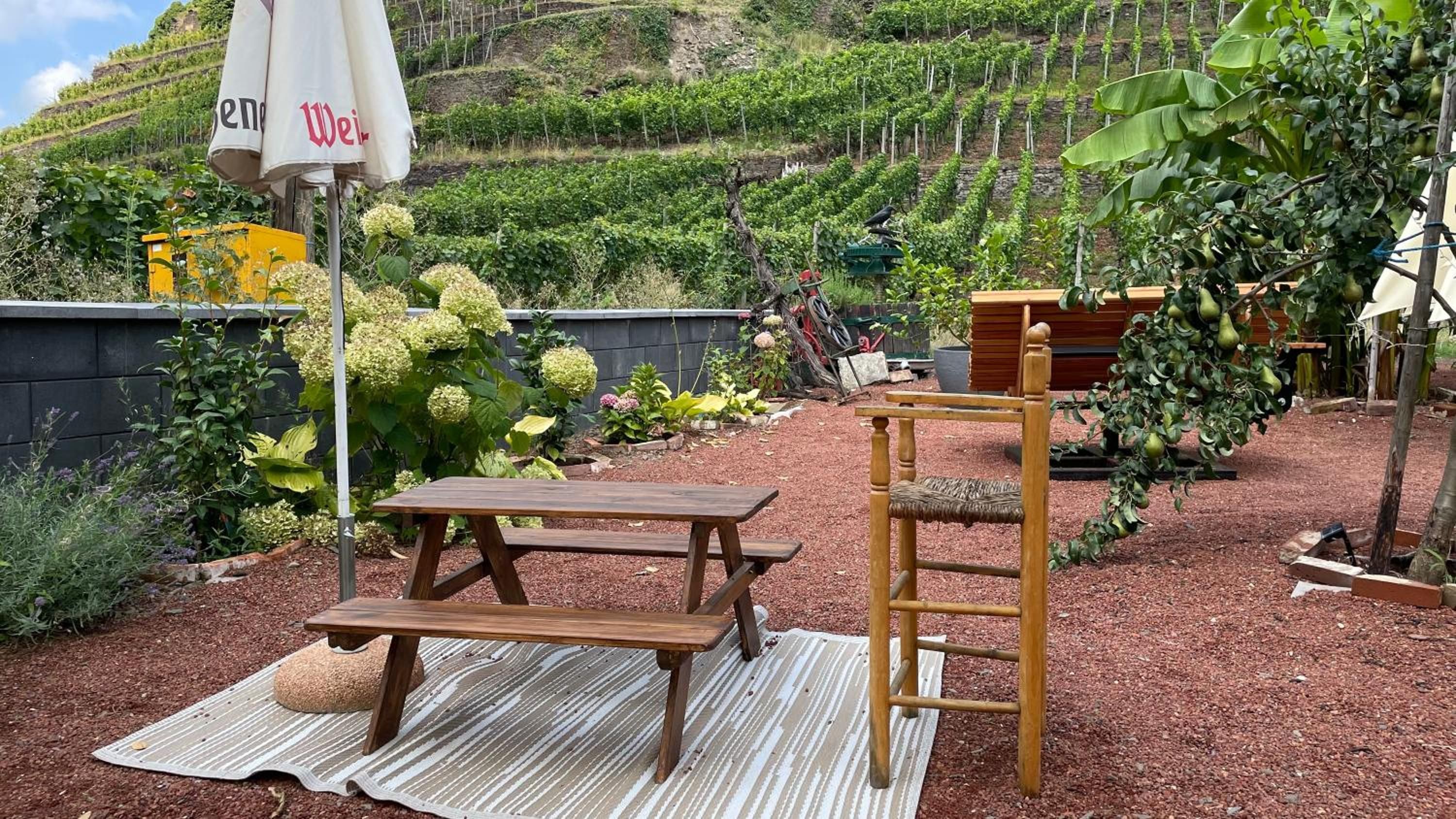 Ein Garten mit einem hölzernen Picknicktisch und einer Bank, umgeben von verschiedenen Pflanzen und einem kleinen Baum.