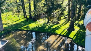 A pond surrounded by trees and grass, with a clear view of the water and reflections. - Hotel Sternen Worb (Worb)