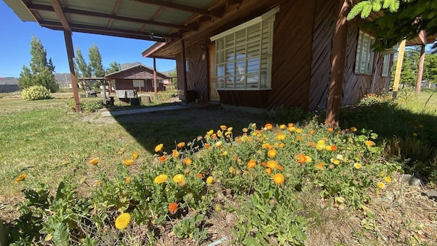 A wooden cabin with a covered porch and a garden with yellow flowers.