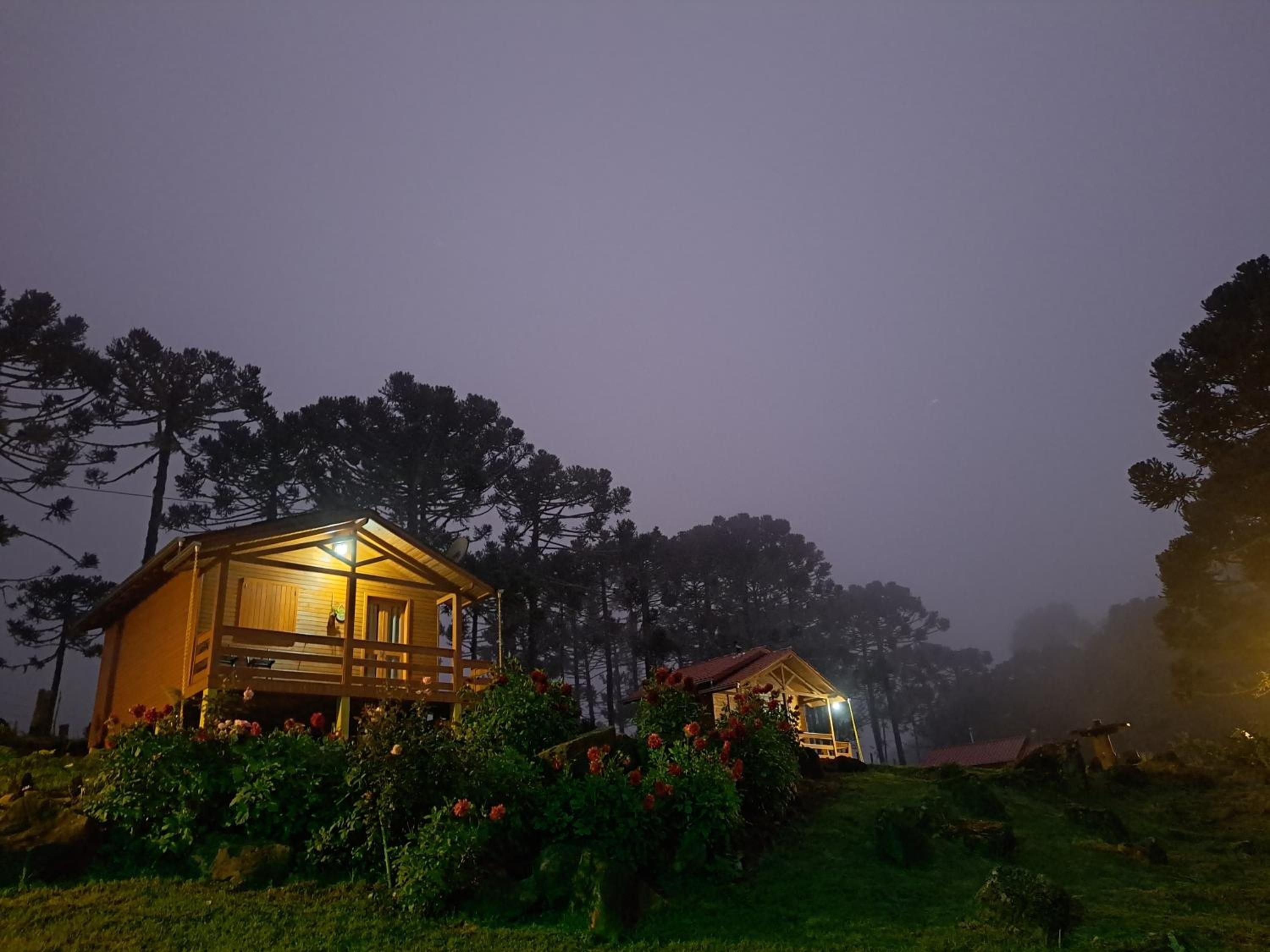 Uma cabana de madeira com varanda, cercada por vegetação e árvores.