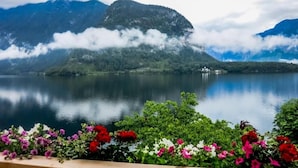 Um lago tranquilo com montanhas ao fundo e um deck de madeira com flores em primeiro plano.