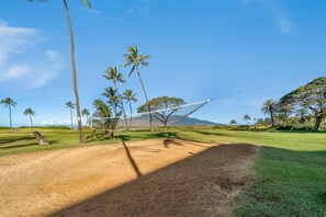 A volleyball court with a net, surrounded by palm trees and a clear sky. - Sweeping Ocean and Mountain Views from Every Room! (Kihei)