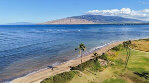A coastal landscape with a beach, palm trees, and a mountain in the distance. - Sweeping Ocean and Mountain Views from Every Room! (Kihei)