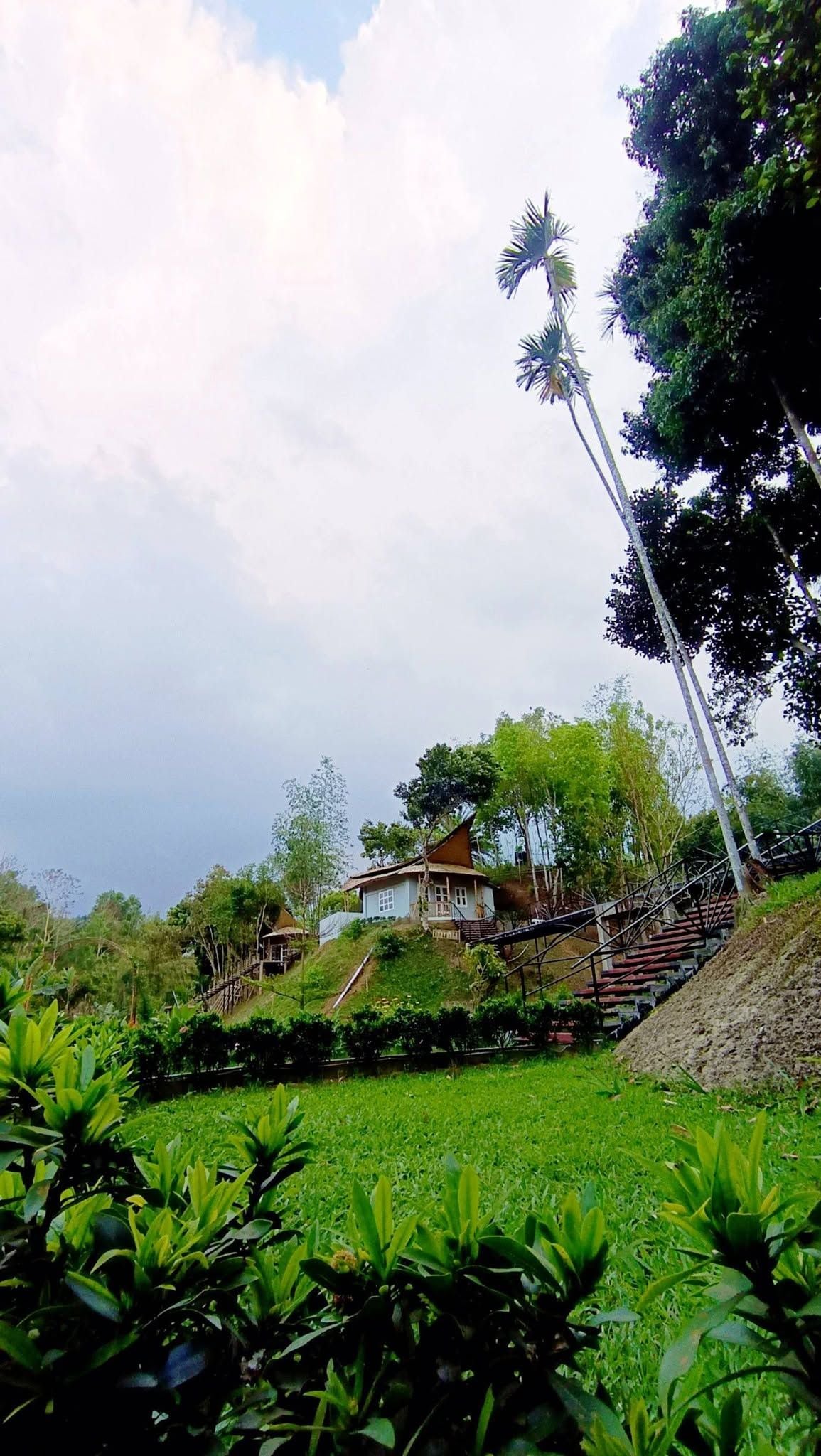 Uma casa com uma escadaria que a precede, cercada por vegetação e árvores.