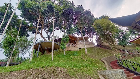 Una propiedad en una ladera con una escalera curva que conduce a una estructura de madera, rodeada de árboles y césped.