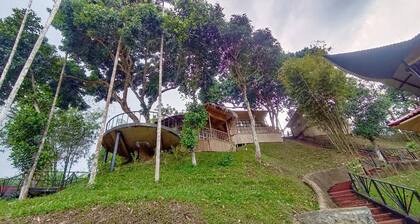 Phayre's Woods Green Resort