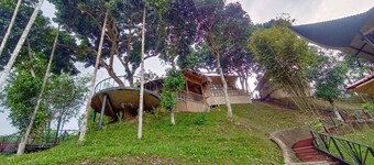 Phayre's Woods Green Resort