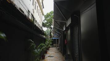 Un estrecho callejón con suelo de baldosas, flanqueado por edificios y plantas en macetas a la izquierda.